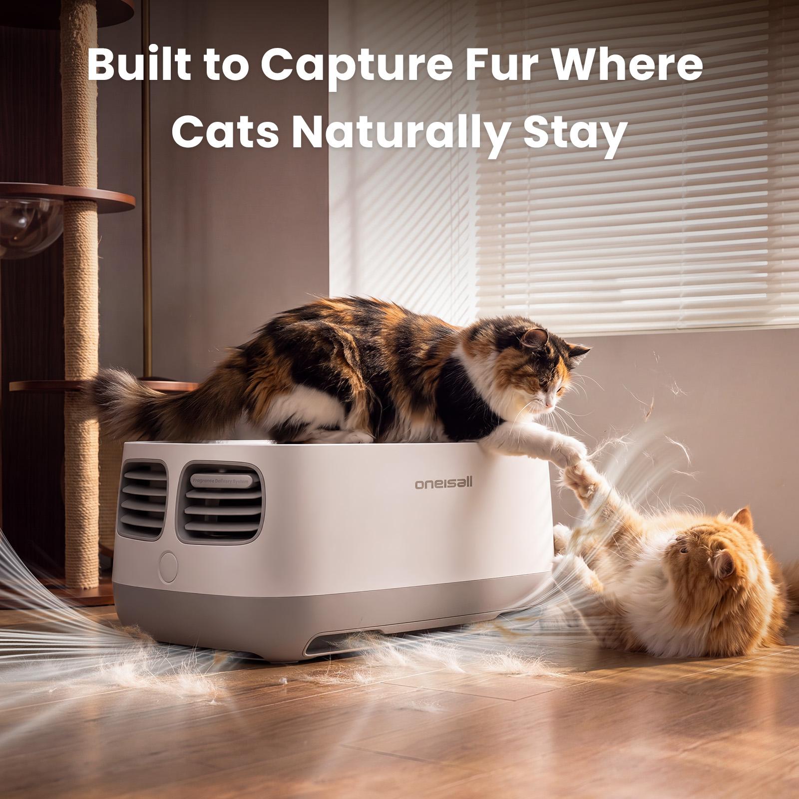 Backtoschool Oneisall Air Purifiers for multi‑cat households with Cat Bed, H13 HEPA for Multi‑Cat Home, 3-Sided Air Intake, PM2.5 Air Quality Monitor，Bottom with Independent Hair Collection Bin, Quiet Multi‑Speed, Captures Pet Fur, Odors, Allergens & Dust