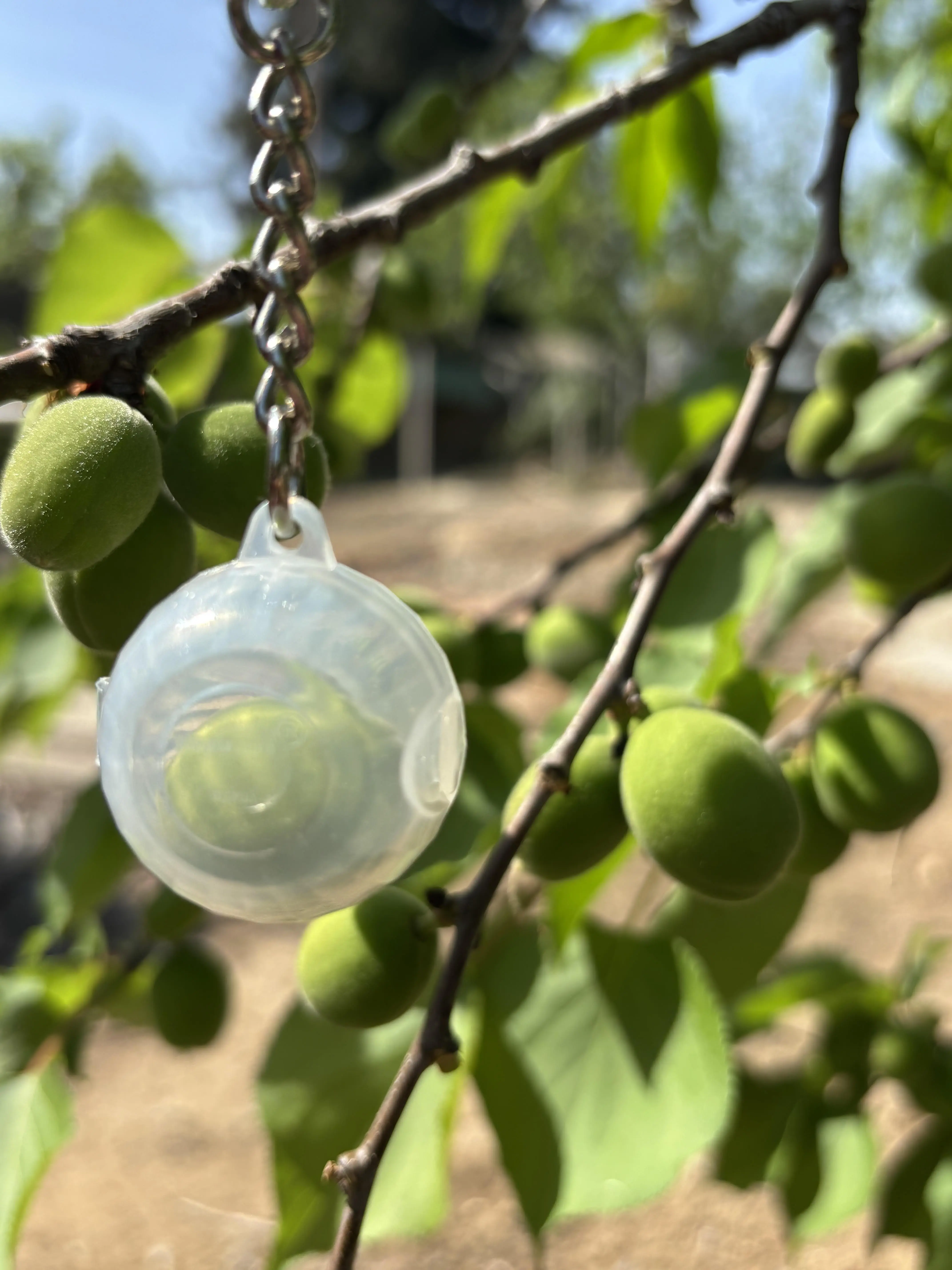 Llavero clear onion key chain