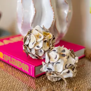 Oyster shell balls