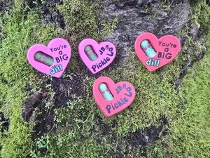 You're a Big Dill Fidget Pickle - Cute Valentine's Day Gift, Fun Stress Relief Toy for Him & Her, Baby Pickles, Fun Fidget for Stress Relief figet toys hilarious gag