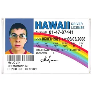 2D Flat Banner 1pc, Mclovin Flag Banners, Fun Room Outdoor Flags, University Dorm Room Decor Indoor Outdoor, Pull-Flag Banner No Power Needed