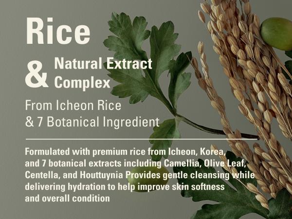 SIOT Rice Jam Mask 8.45oz | Korean Rice Brightening & Hydrating Wash-Off Face & Body Mask | Gentle Exfoliating, Glow & Smooth Skin Care Lightweight Moisturizing Radiant Sensitive Skin SIOT Rice Jam Mask 8.45oz | Korean Rice Brightening & Hydrating Wash-Off Face & Body Mask | Gentle Exfoliating, Glow & Smooth Skin Care Lightweight Moisturizing Radiant Sensitive Skin