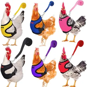 Poultry Pet Harness Set with Matching Collar, Bow, Comfortable Leash, Breathable Vest and Hen Belt – Fashion Farm Animal & Poultry Supplies