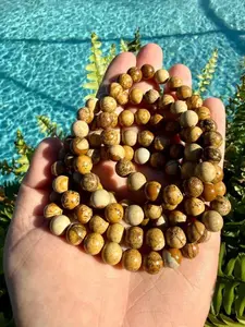 8mm Picture Jasper Stretch Bracelet | Natural Earth Tone Gemstone Bracelet