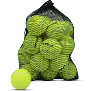 Tennis Balls, 18 Pack  Tennis Balls Practice Balls with Mesh Bag for Easy Transport, Pet  Playing Balls, fit for Beginner  Ball