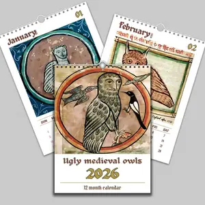 2026 Year Fun Medieval Owl Painting Wall Calendar, Animal Theme Vintage Wall Decor, Daily Weekly Monthly Views, Office Home Hanging Month Calendar