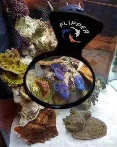 Flipper DeepSee Magnetic Aquarium Viewer