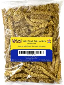 Birds LOVE Millet Tips & Tails for Birds - Parakeets, Cockatiels, Lovebirds, Finches, Budgies, Canaries, Cockatoos - Natural & Healthy Millet for Birds - Parakeet Food & Treats for All Parrots, 1lb