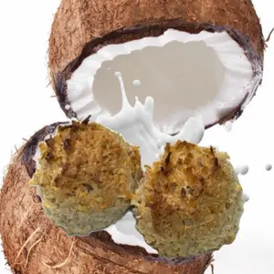 La gringa two white coconut macaroons with horchata cream dos cocadas blancas con crema de horchata