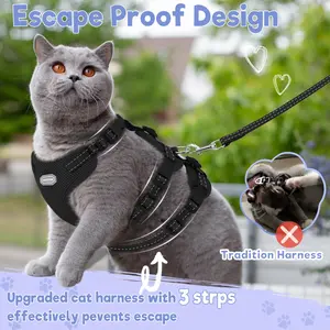 Cat Harness Leash Set, Harness And Leash Set, Adjustable Harness, Breathable Solid Color Pet Chest Strap, Small Cat & Dog Harness Kit, Comfortable Pet Gear for Daily Use