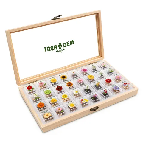 LUSH&DEW All-in-One Cut Flower Garden Seed Bank - 32 Organic Varieties for All Seasons - USDA Zone 3-10 - Wooden Storage Box Included
