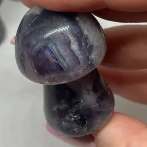 Medium Fluorite Healing Mushrooms Beautiful markings!