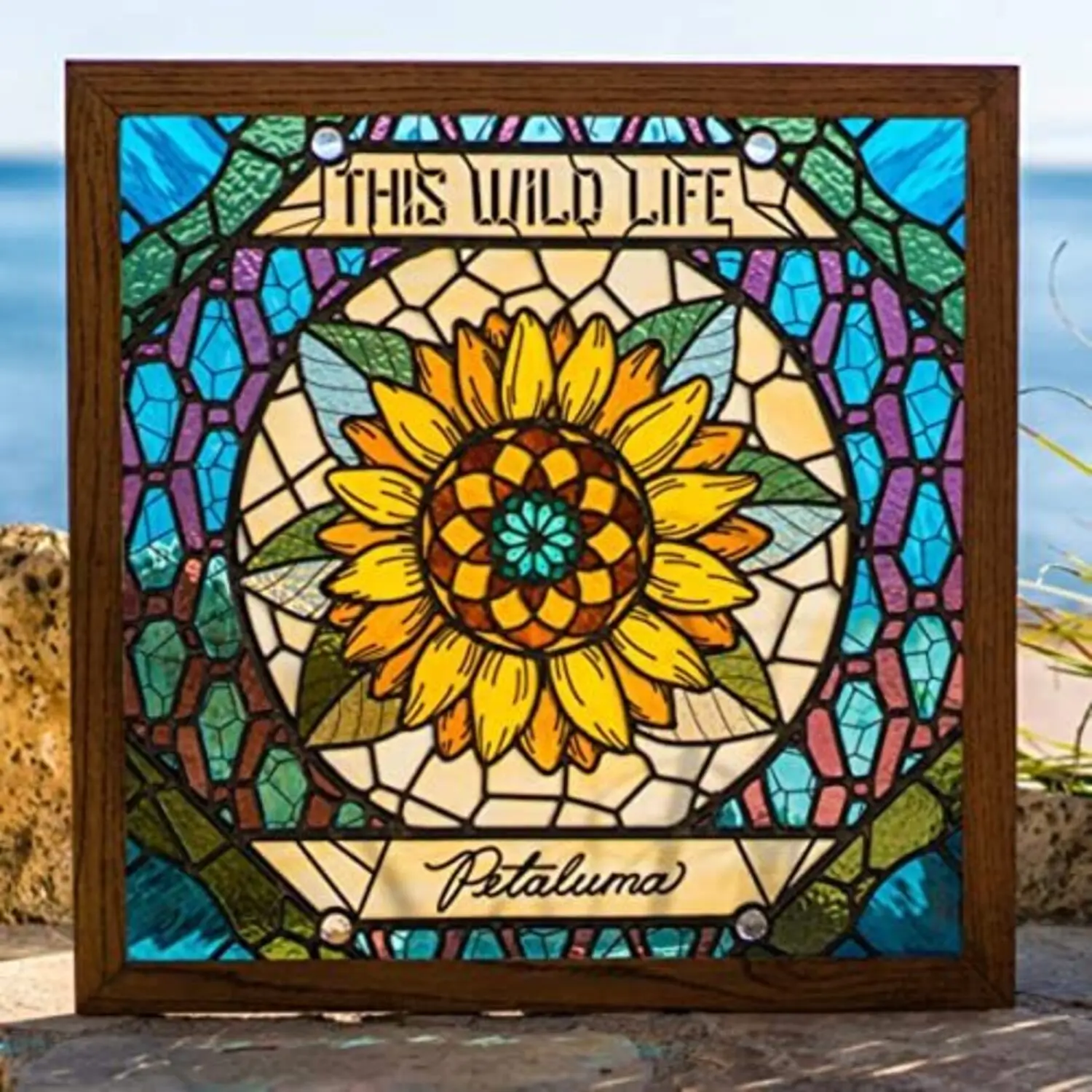 This Wild Life - Petaluma Band Colored LP (Long Play) Vinyl Record, Brighter More Uptempo Albums on Vinyl