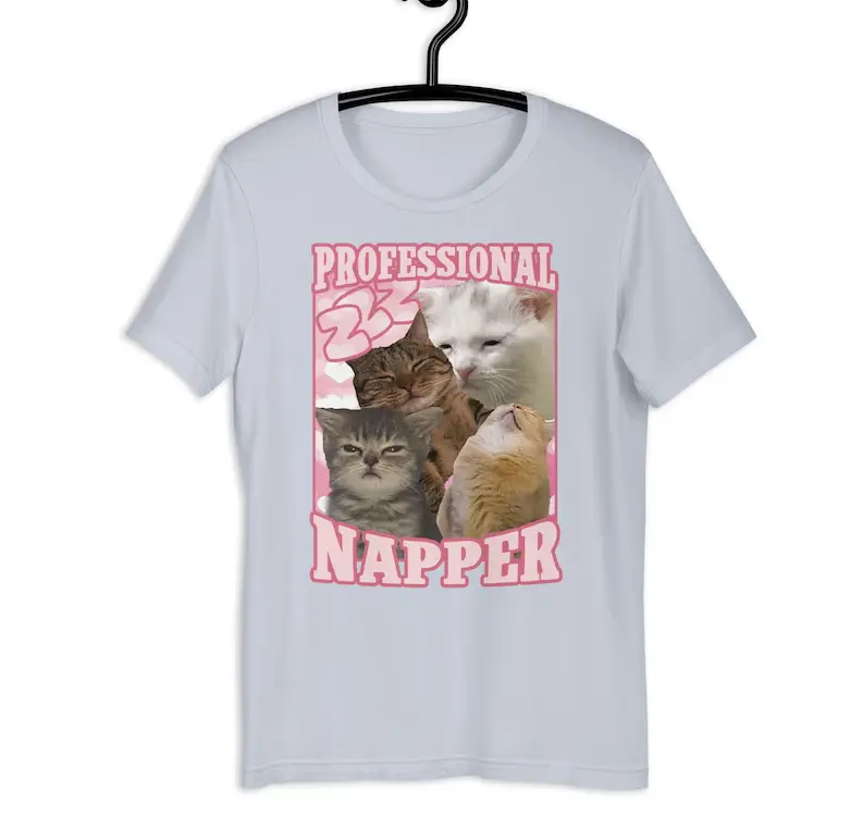 Professional Napper Funny Cat Meme T-shirt, Gift for Her, Goofy Ahh Tshirt, Sleeping T-shirt