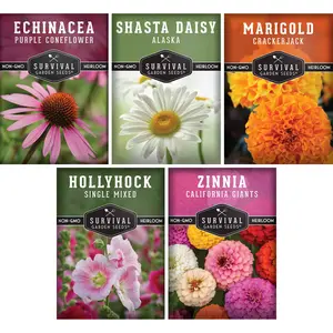 5 Flower Seed Collection - Hollyhock, Shasta Daisy, Coneflower (Echinacea), Marigold, Zinnia