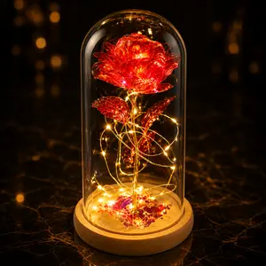 Mother's Day Classic Gifts LED Everlasting Rose Eternal Flower,Romantic Creative Gifts for Women - Valentine's,Day, Birthday, Memorable Dates luxury valentines Gifts for Her Anniversary gift for wife daughter Perfect gift Surprise Idea for LOVE