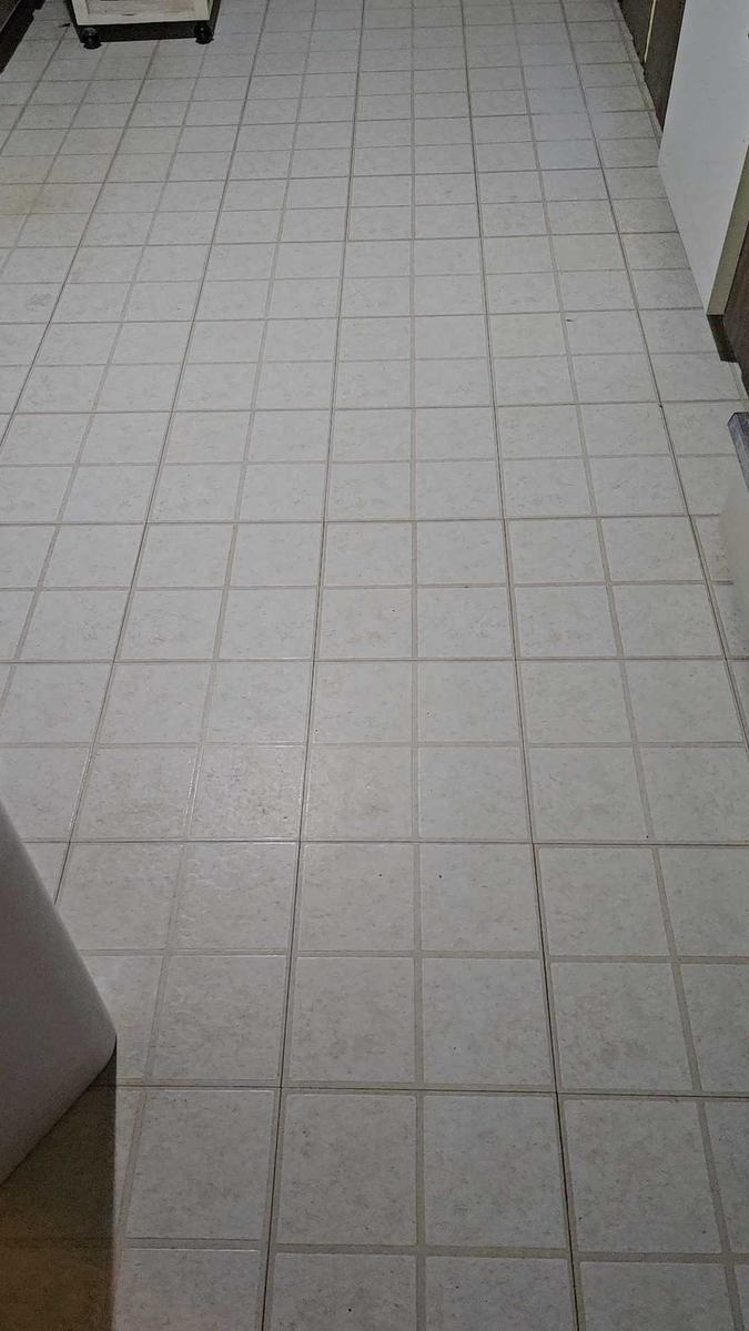 Item: mop bucket set