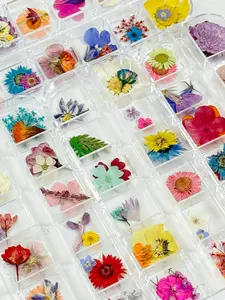 One Box of 24 Dried Flowers with 3 Bags of Decorations, Includes Glitters Sparkle Stickers Beads Studs etc., DIY Fashion Jewelry Making Supplies, DIY Beading Accessories, Festival Gift Accessories Ornament, DIY Mix Beads