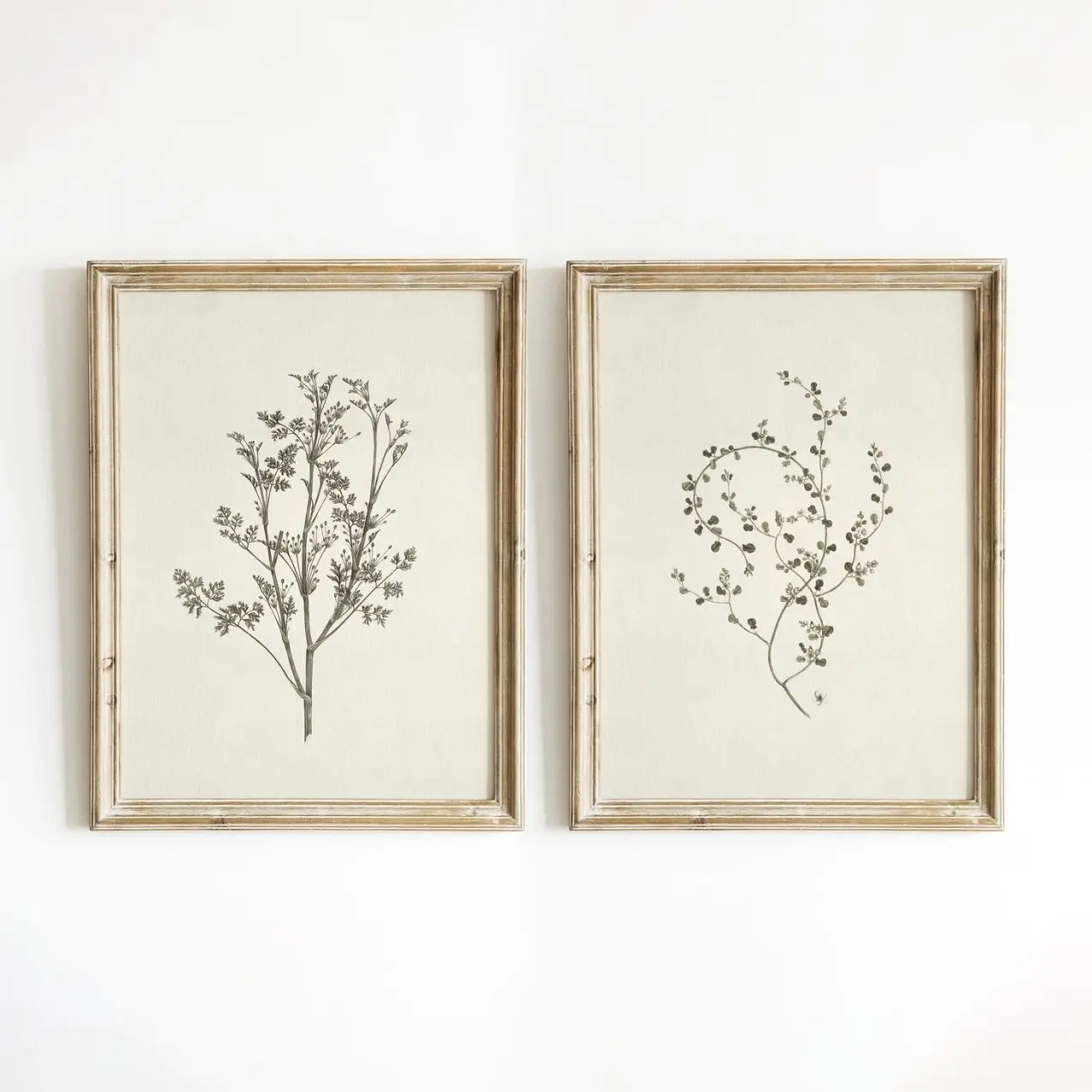 Vintage Botanical Set of 2, Cottagecore Floral Prints, French Country Wall Decor| Frameless Poster P