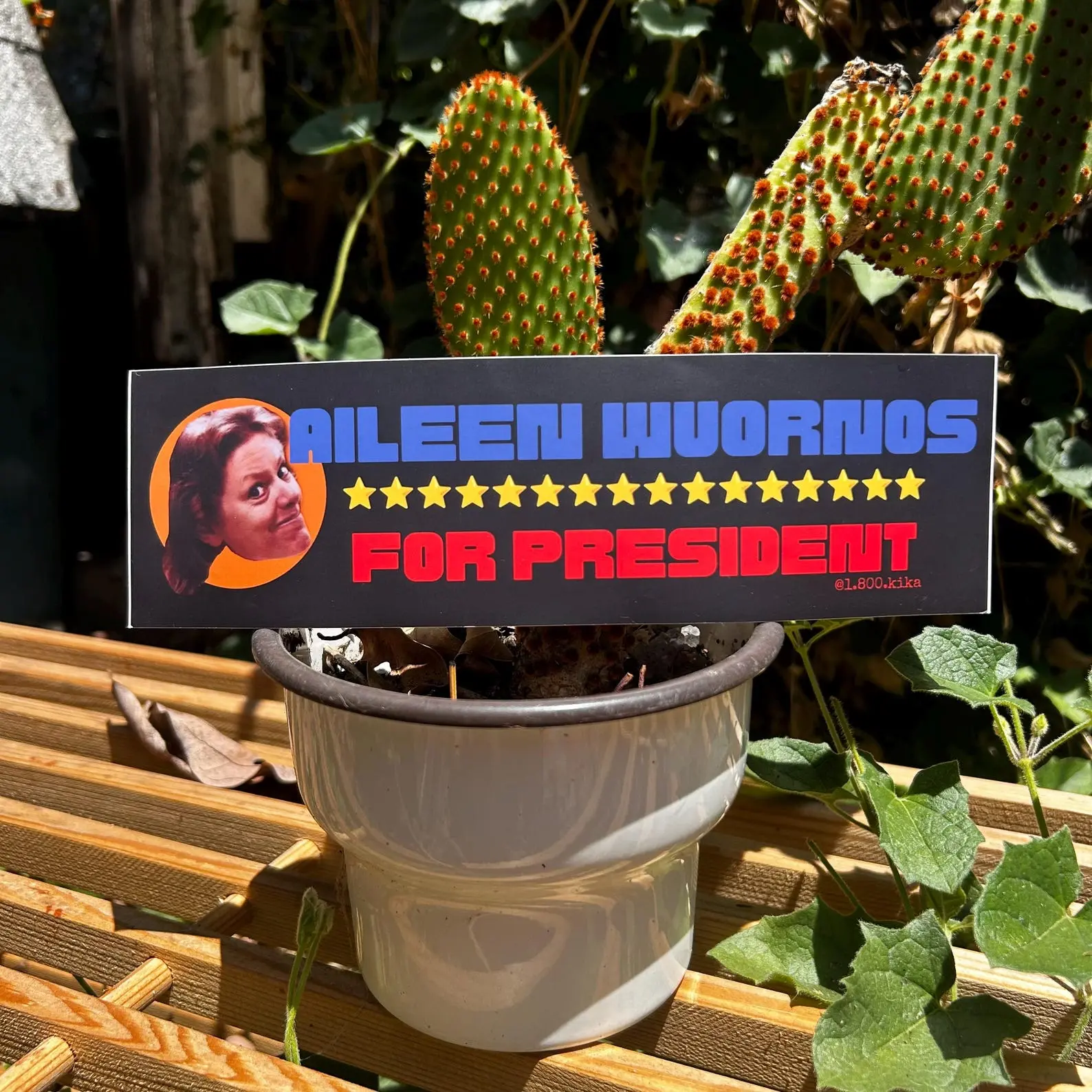 Aileen Wuornos for President Political Joke Bumper Sticker