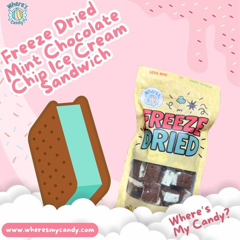 Freeze Dried MINT CHOCOLATE CHIP Ice Cream Sandwich Bites - TikTok Viral - Crunchy Ice Cream - Astronaut Candy