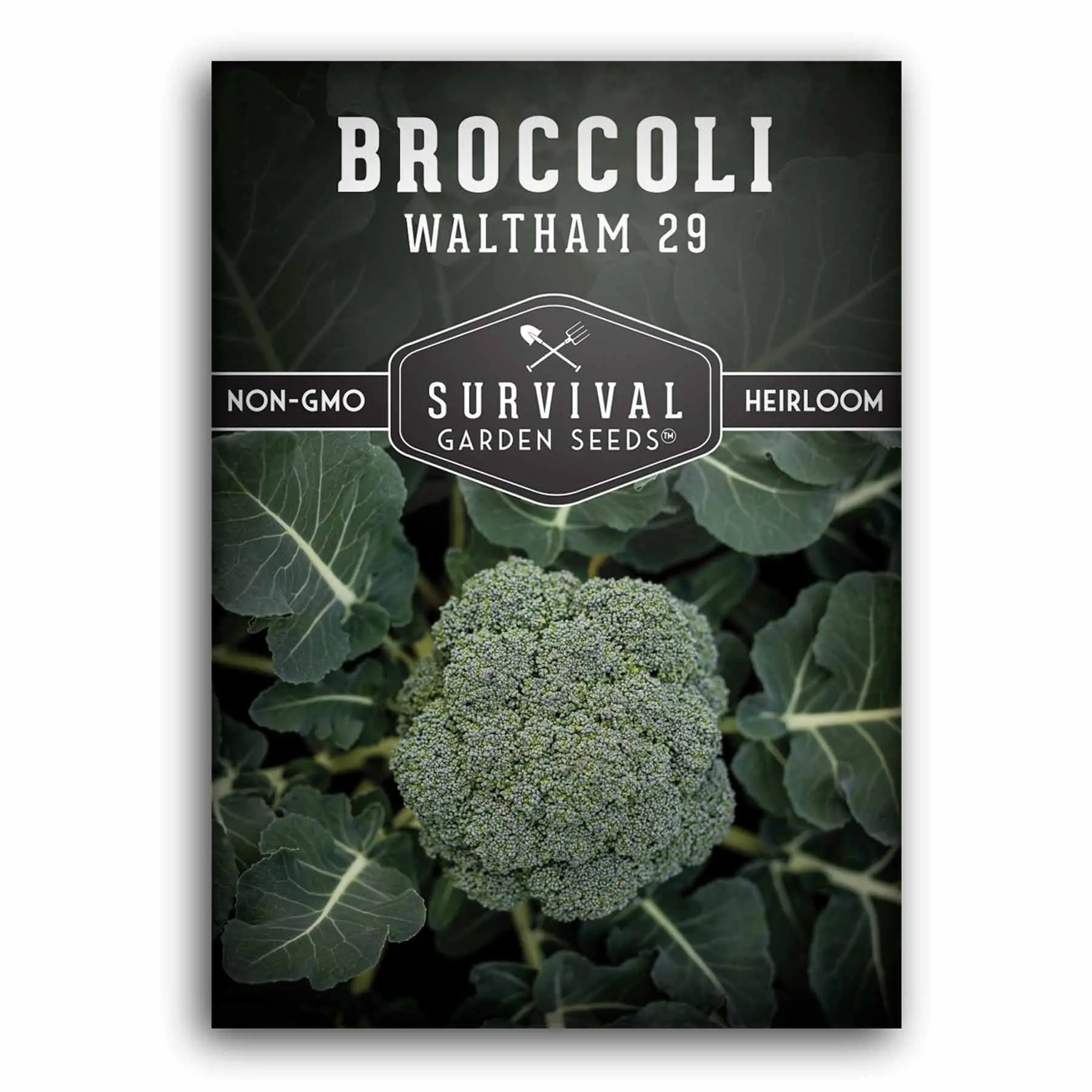 Waltham 29 Broccoli Seed - High-Quality Seeds for Your Garden