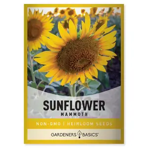 Mammoth Sunflower Seeds