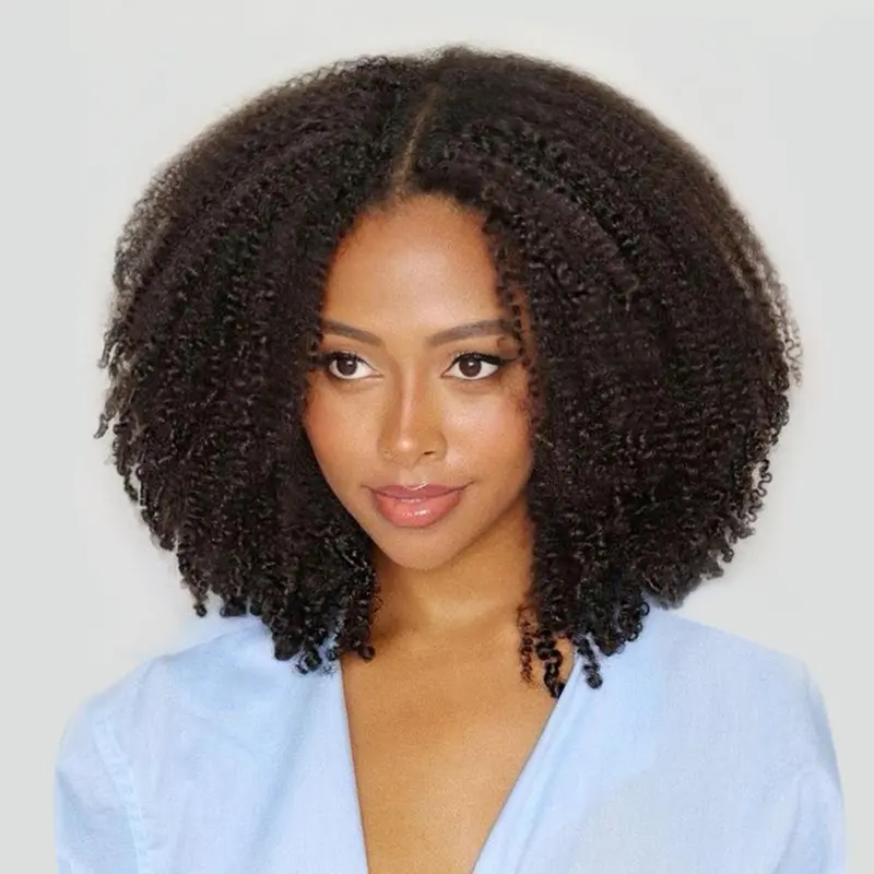 Wavymy Women's 16in Afro Kinky Curly Glueless Ready to Wear Real Human Hair Wig - Invisible 7x5 HD Swiss Lace Closure, Preplucked Pre-bleached Dome Cap, Beginner-friendly Daily Use, Glueless Ready To Wear Wig