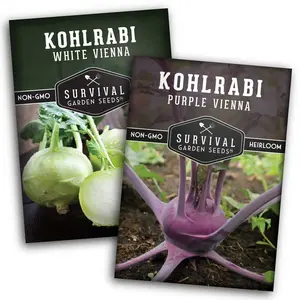 Survival Garden Seeds Kohlrabi Collection - White Vienna & Purple Vienna Heirloom Non-GMO Seeds for Cool Weather Gardening