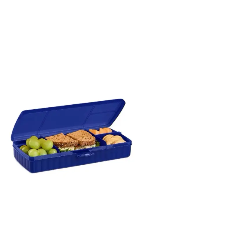 Lunch n Things container