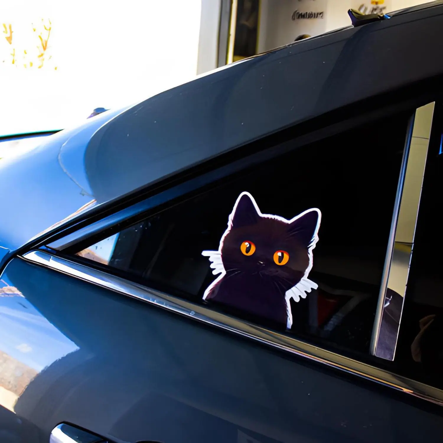 Black Cat Peeker