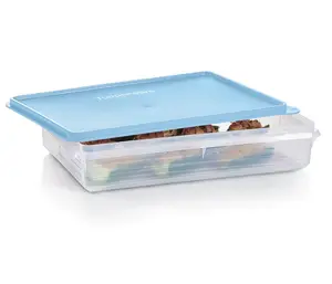Tupperware  Snack-Stor | Large