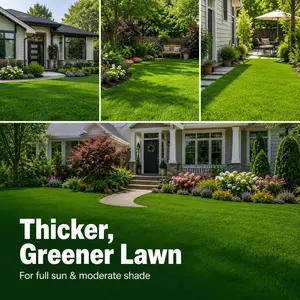 Premium Grass Seeds for Sun & Shade, Hardy Lawn Seeds for Dense Green Turf, Suitable for New Lawns, Patch Repair, and Overseeding