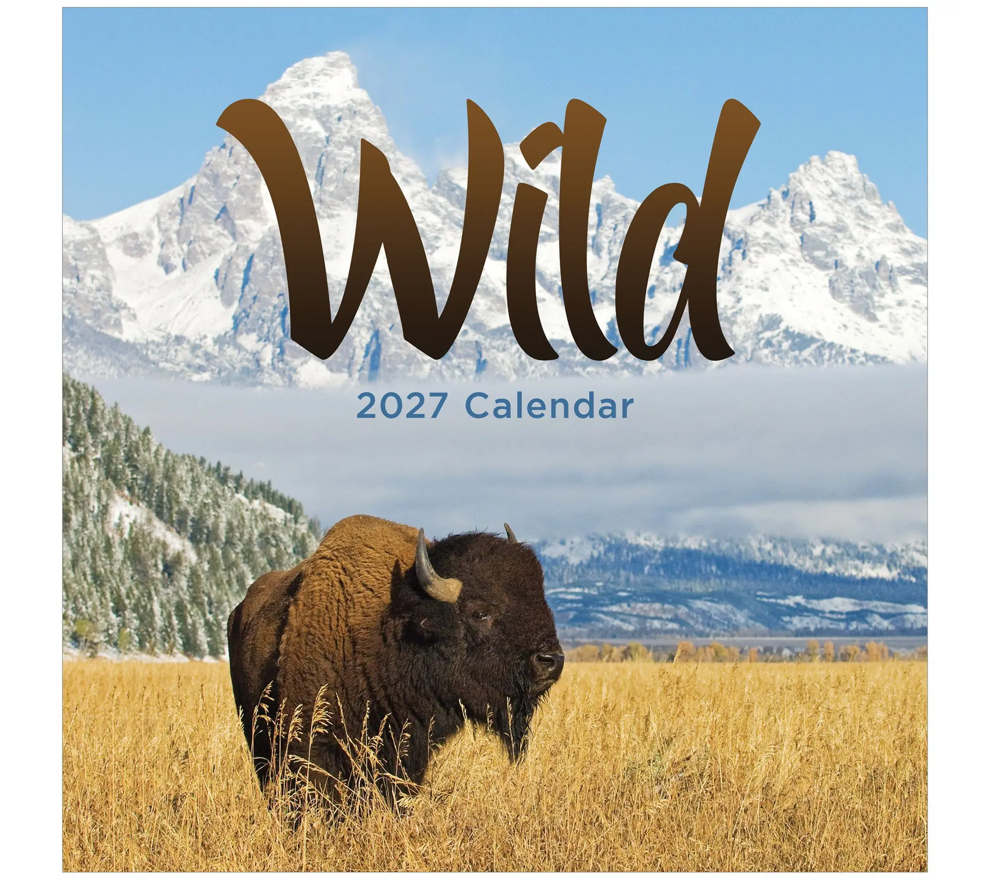 TF Publishing 2027 Wild Wall Calendar TF Publishing 2027 Wild Wall Calendar