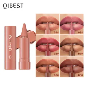 Long Lasting Matte Rotating Lipstick Pen Waterproof Lip Liner Makeup Cosmetic Waterproof Longlasting