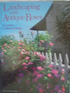 USED-Landscaping with Antique Roses by Liz Druitt (Hardcover)
