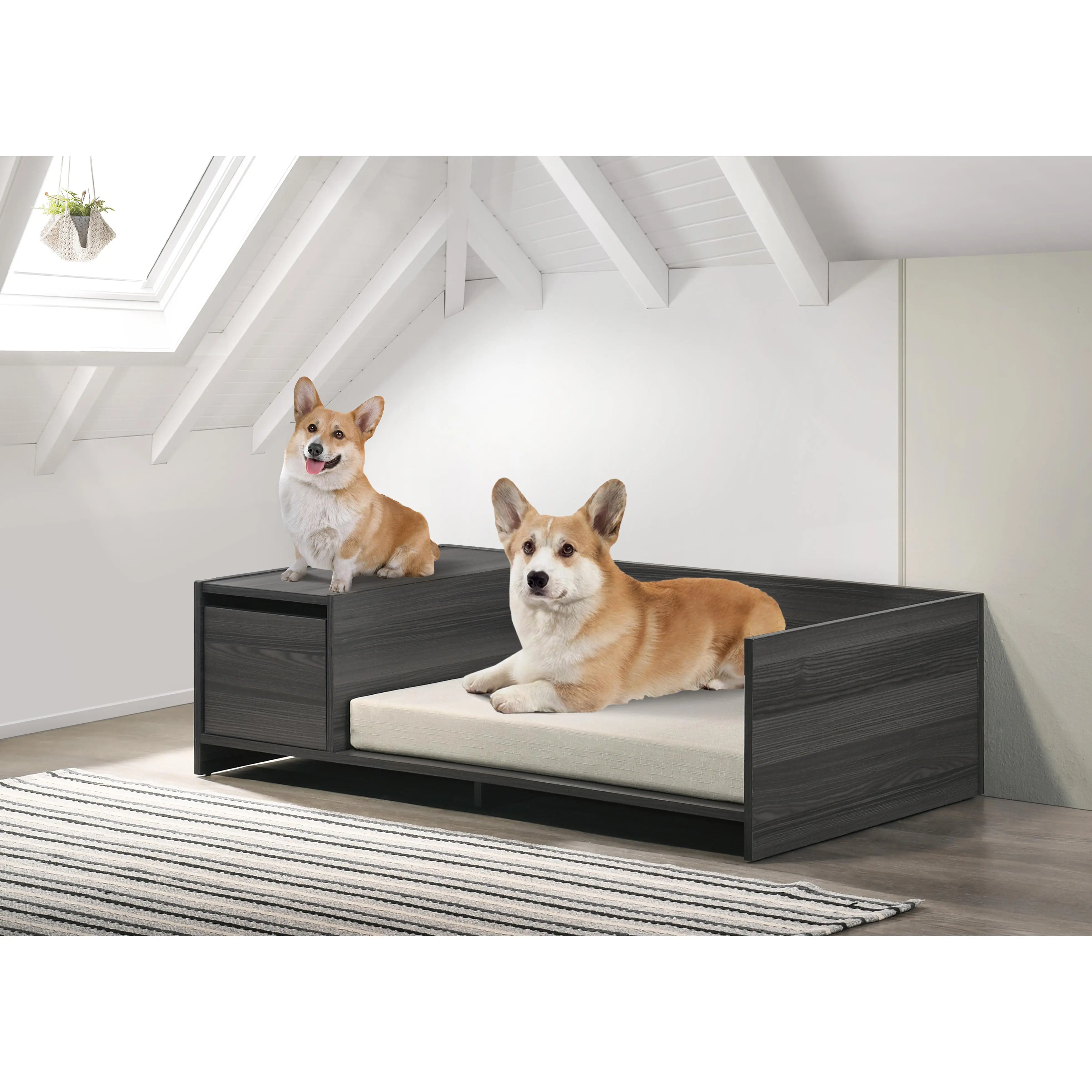 Modern Indoor Pet Bed - Hardware Esme Ash Gray, 47" Wide, Detachable Cushion, Side Storage Comp., Easy Cleaning, Particle Board with Lamination Finish, 22 lbs Weight Support Capacity (Dog & Cat Furniture)
