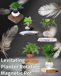 Levitating Plant Pot - Floating Rotating Magnetic Planter for Small Plants - Ideal for Home & Office Decor