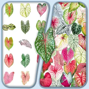 50pcs Caladium Creative Small Fresh Plant Stickers - DIY Decals for Journal, Phone Case, Water Bottle & Scrapbook, Personalized Transparent Stickers