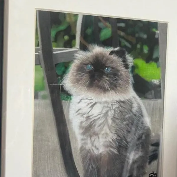 Custom Pet Mixed Media Portrait