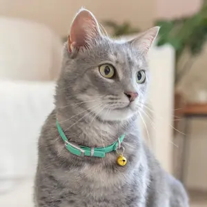 Leather Cat Collar with Detachable Bell, Adjustable Safety Strap for Kittens and Adult Cats, Durable Pet Neck Accessory