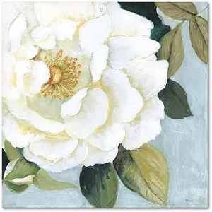 Courtside Market Summer Scent 16x16 Canvas Wall Art