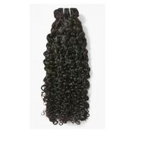 Burmese Curly with Natural Ends