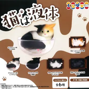 Cat Is Liquid in Boxes and Bowls Mini Figure