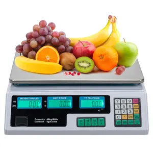 [FLASH SALE] ROVSUN 88 LBS Deli Electronic Price Computing Scale Silver