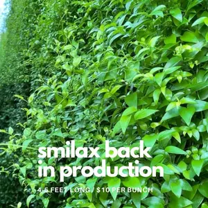 Smilax 10 Bunches - 4 Feet Long, Green Leaves, $10 per Bunch
