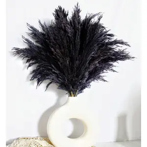 Black Pampas Grass for  Decor - Elegant Boho Decor -  Pampas Grass Stems -  for House, , Western, Wedding, Table, and Bohemian Decor (20PCS)