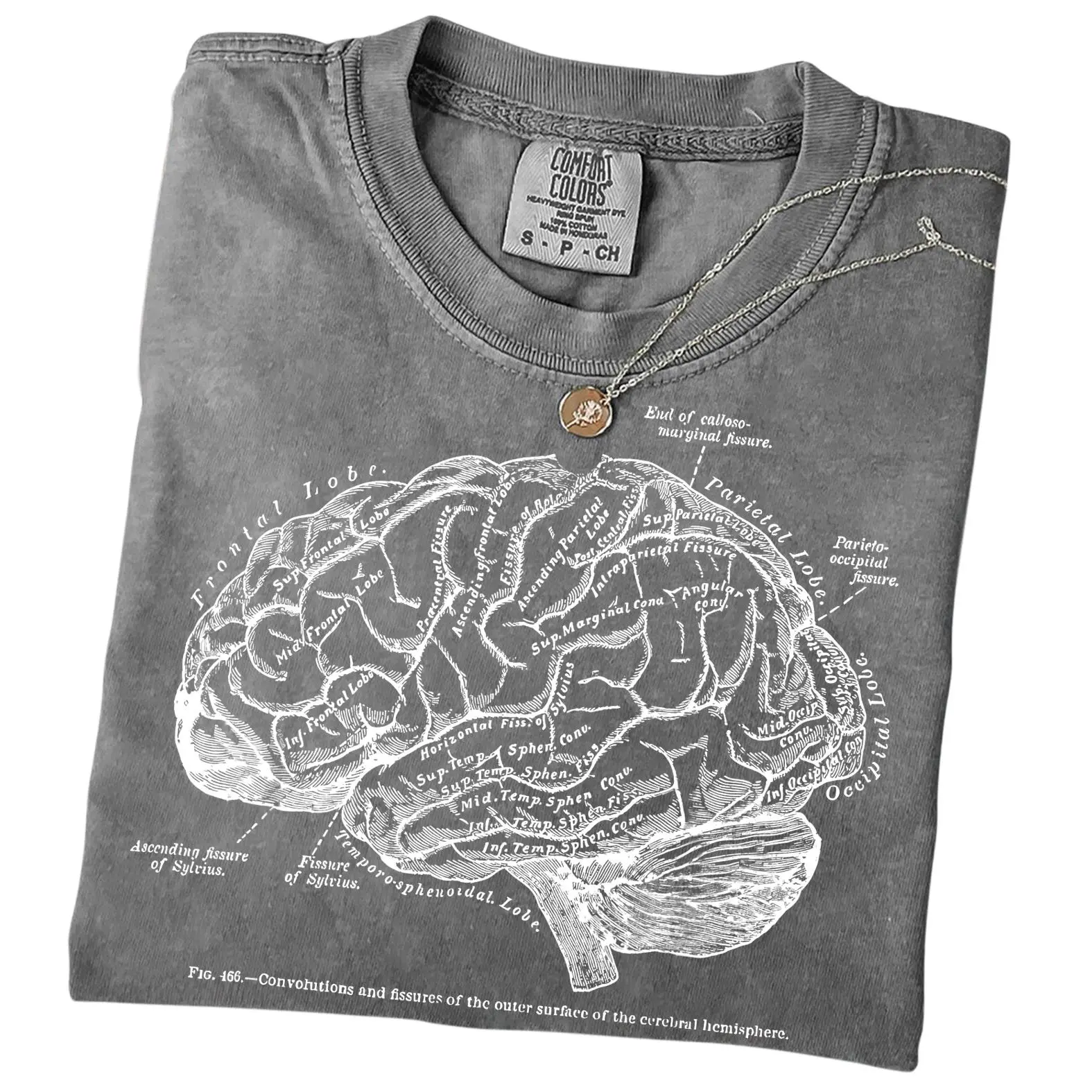 Comfort Colors Brain Anatomy Shirt, Vintage Neuroscience Tee, Neurology RN T-Shirt, Psychology & Neuro Nurse Gift for Women