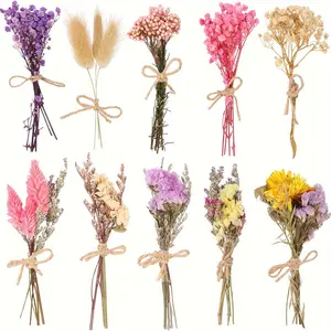 10 Pack Dried Flowers For Vase Wildflower Party Decorations Dried Flowers For Crafts Bouquets Various Dried Flower Combinations With Stem Dried Embossing Natural Flower Bundles Artificial Flower Dried Floral Arrangement For Vase DIY Wedding Decor