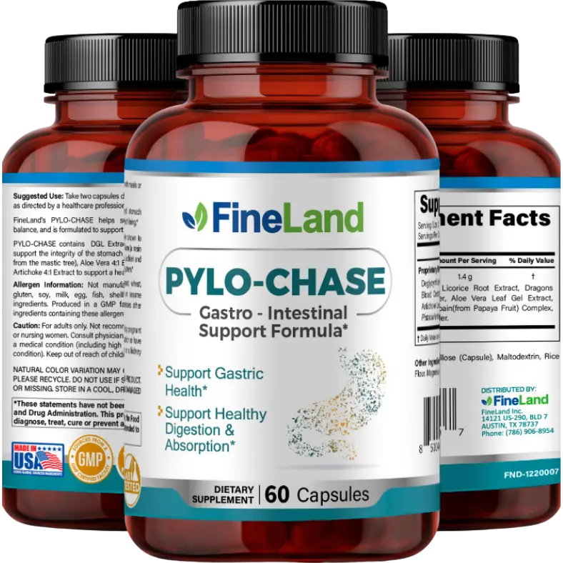 FineLand PYLO - CHASE Gastic Function, Digestive Function, 60 Capsules / 30 Servings